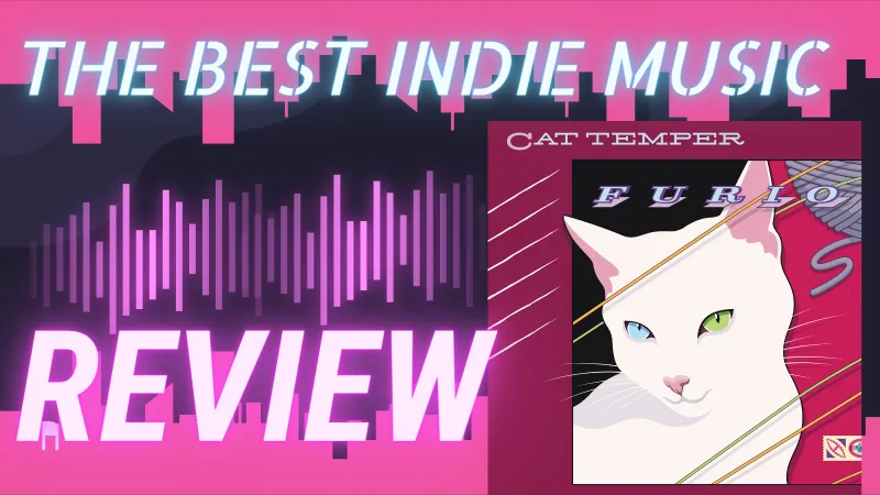 Best Indie Music Cover cat temper furio