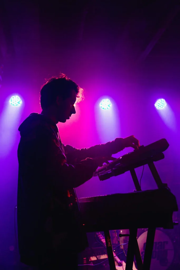 indie musicians electronic image